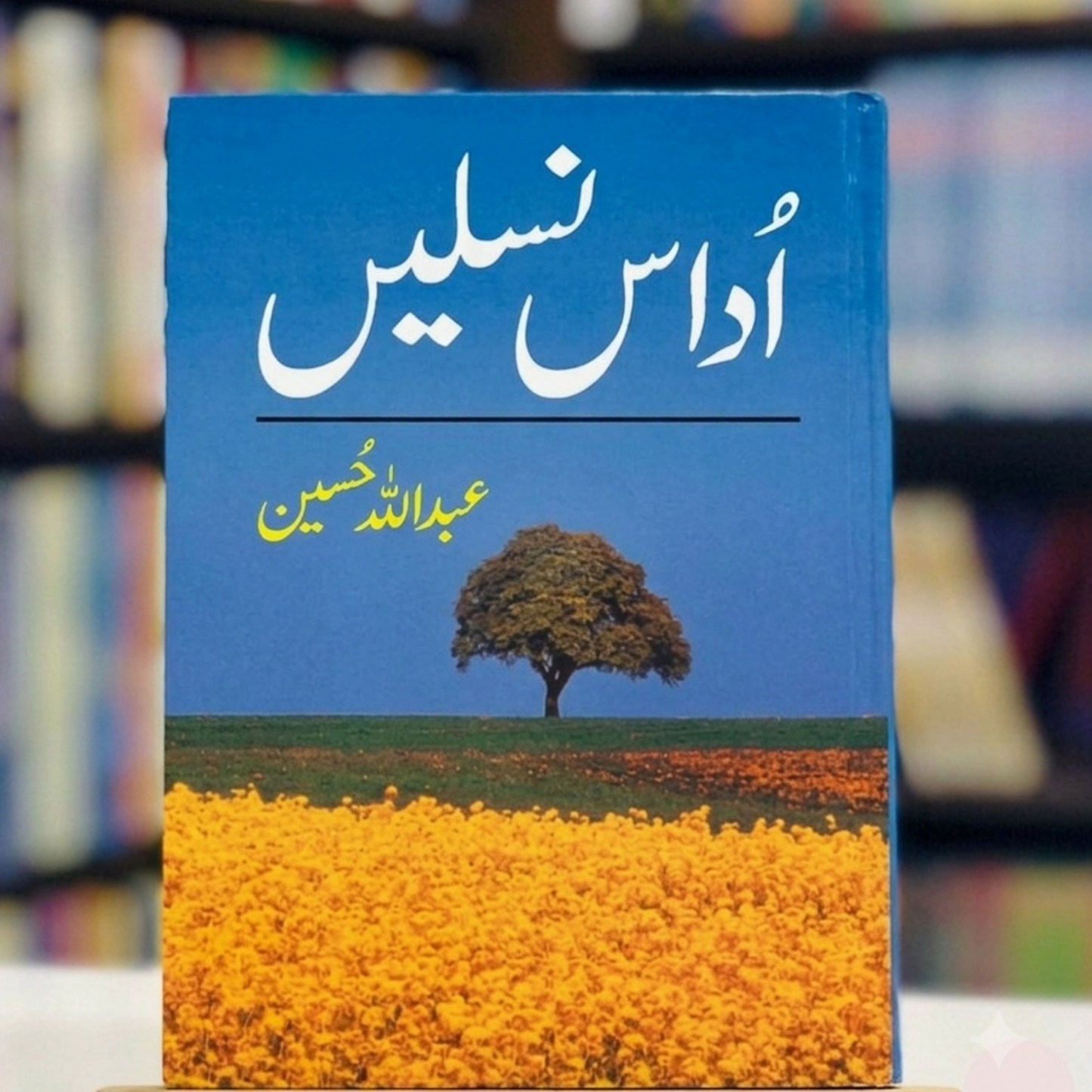 Udaas Naslain (اداس نسلیں)