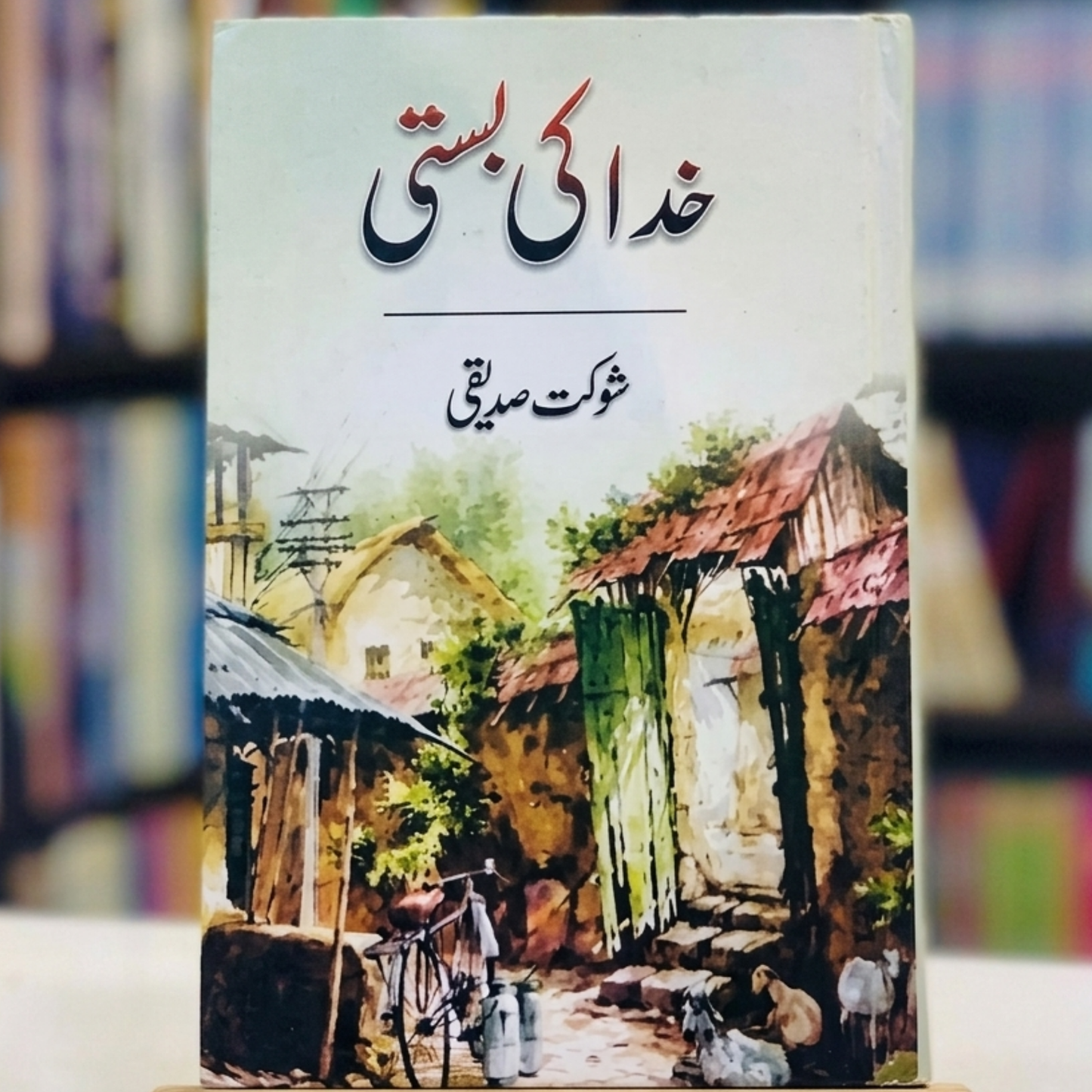 Khuda Ki Basti (خدا کی بستی)